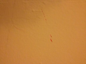 "Lifeblood/Untitled" my faves.