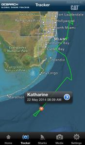 OCEARCH's pings of Katherine the Great White Shark